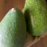 Avocados
