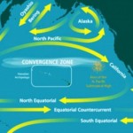 Pacific Ocean Currents Ocean Currents in the Pacific