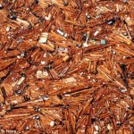 Trash heap from tsunami Trash pile in Pacific Ocean