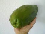 fermented papaya increased immune function