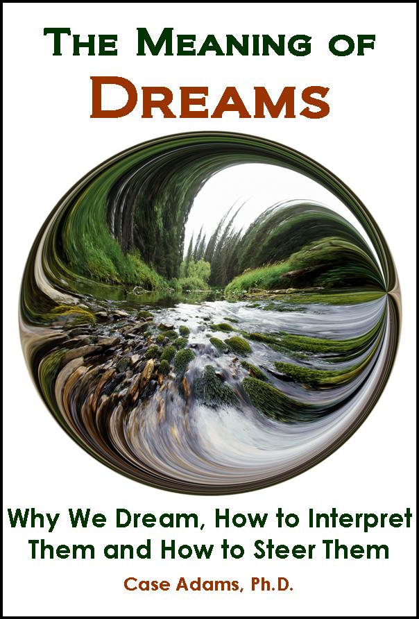 THE MEANING OF DREAMS EMF