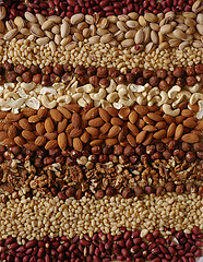 nuts are nutritionally superior