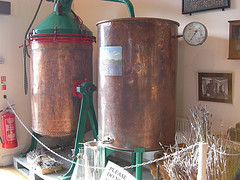 essential oils antiseptic essential oils are antiseptic against MRSA