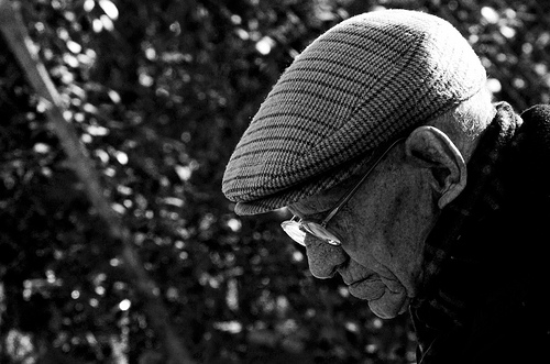 vitamin E slows cognitive decline