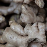 ginger heals many conditions