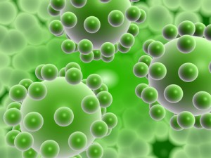 HIV and milk thistle extract HIV and Silymarin