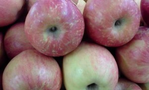 apples pectin blood sugar diabetes pectin and blood sugar