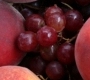 resveratrol and cancer cancer and resveratrol