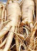 ashwagandha Ashwagandha studied for more than 50 medical conditions.