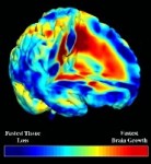 music and the brain brain and music