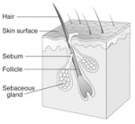 skin probiotics and MRSA probiotics and MRSA