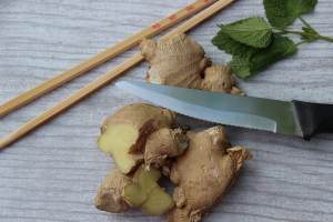 ginger performance