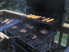 High protein diets do harm