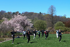 Tai chi for hypertension