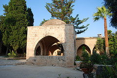greek monastery clinical herbalism