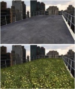 Microbreak contrasting views. Courtesy of University of Melbourne