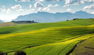 GMO labelling and crop bans