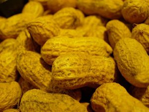 peanuts inhibit cancer, heart disease, death