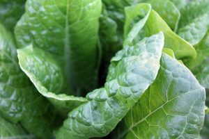 Spinach and other leafy greens high in nitrates