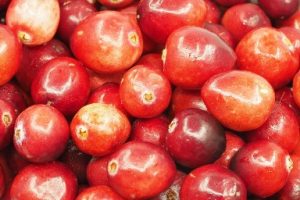 cranberry for probiotic health
