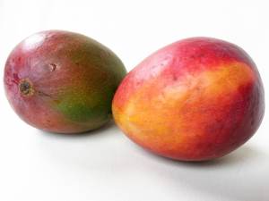 mango inflammation