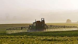 glyphosate exposure